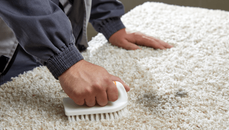 Professional Rug Cleaning Narre Warren